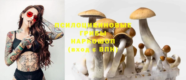 твердый Липки