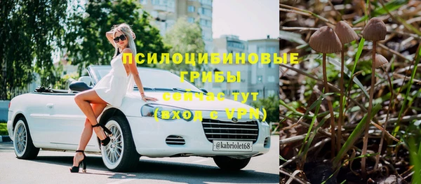 дмт Верхний Тагил