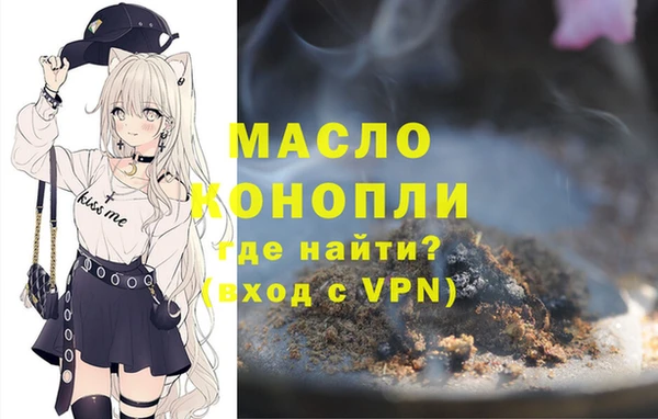 spice Дмитриев