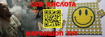 крисы Бийск