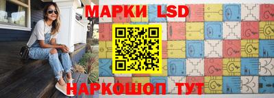 mdma Гатчина