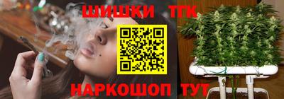 прущие грибы Абакан