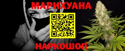 спиды Гай
