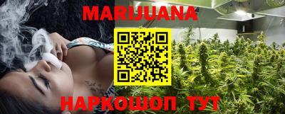 прущие грибы Абакан