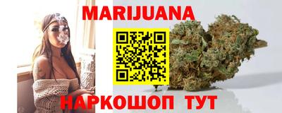 прущие грибы Абакан