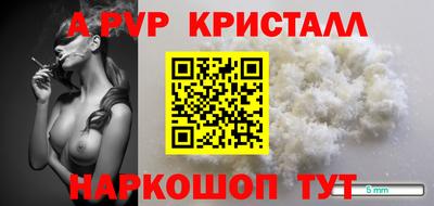 прущие грибы Абакан