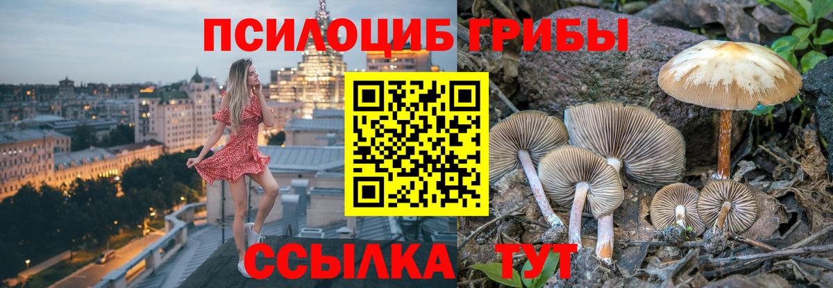 Галлюциногенные грибы Psilocybe Выкса